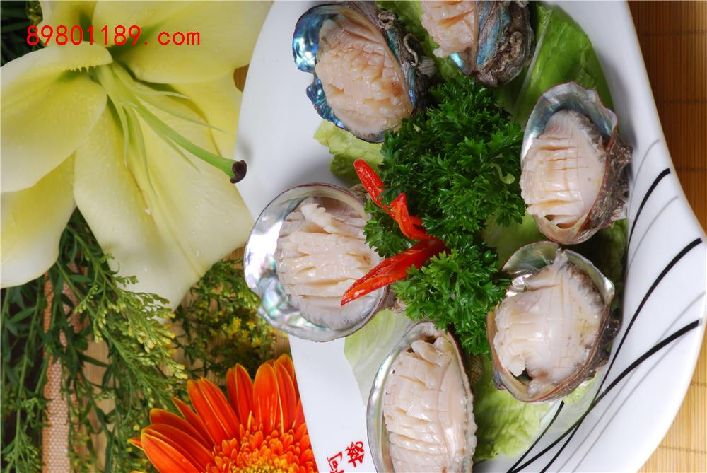 大连鲍